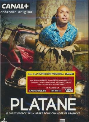 Platane - 