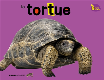 tortue (La) - 