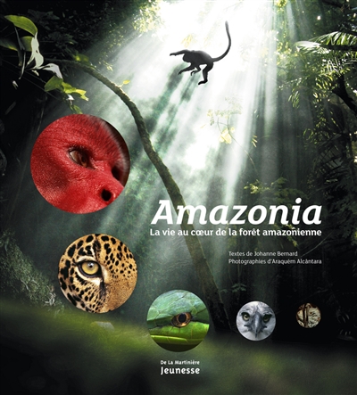 Amazonia - 