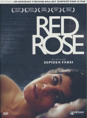 Red Rose - 
