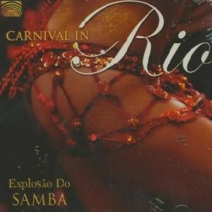 Carnaval in Rio - 