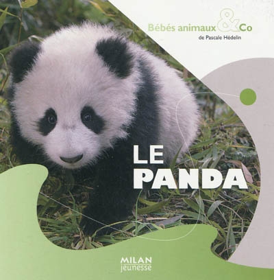 panda (Le) - 