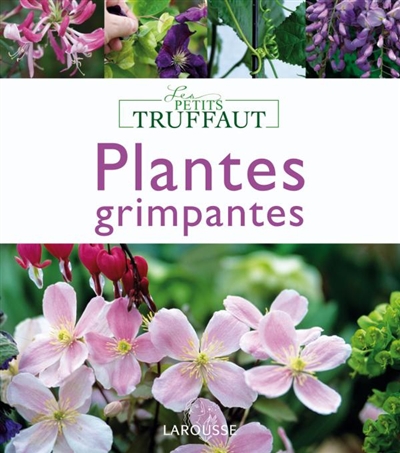 Plantes grimpantes - 