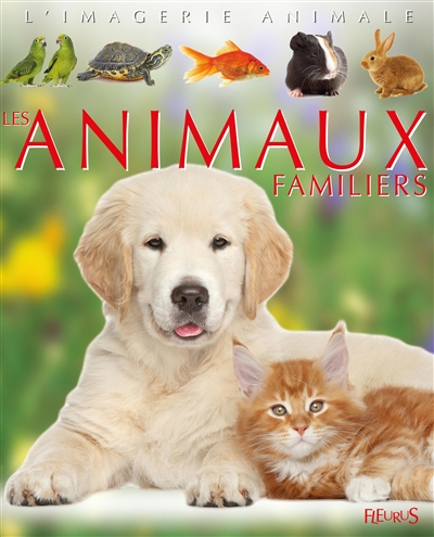 Animaux familiers - 
