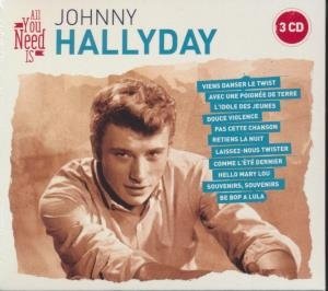 All you need is Johnny Hallyday - 