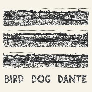 Bird dog Dante - 