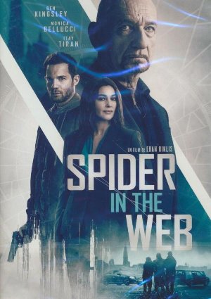 Spider in the web - 