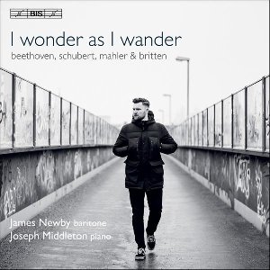 I wonder as I wander - 