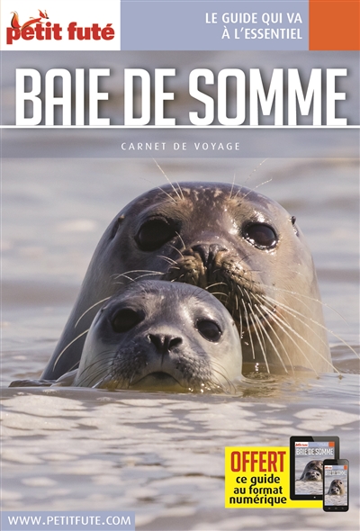Baie de Somme - 