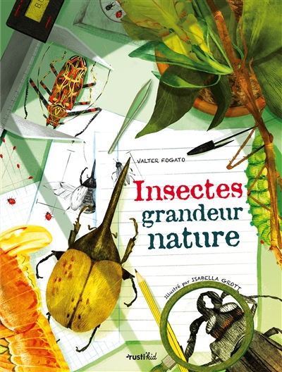 Insectes - 